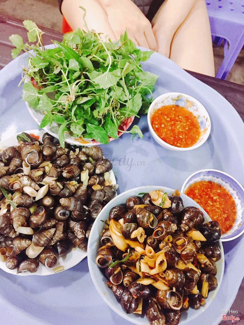 Mai Tuấn - Ốc Xào & Ốc Luộc ở Thành Phố Vinh, Nghệ An | Foody.vn