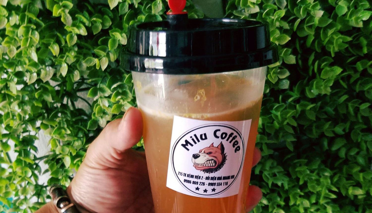 Milu Coffee - Trà Sữa & Đồ Ẳn Vặt ở Huyện Mộc Châu, Sơn La | Foody.vn