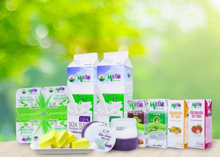 Mộc Châu milk – Top 5 công ty sữa lớn nhất cả nước – Du lịch Sơn La