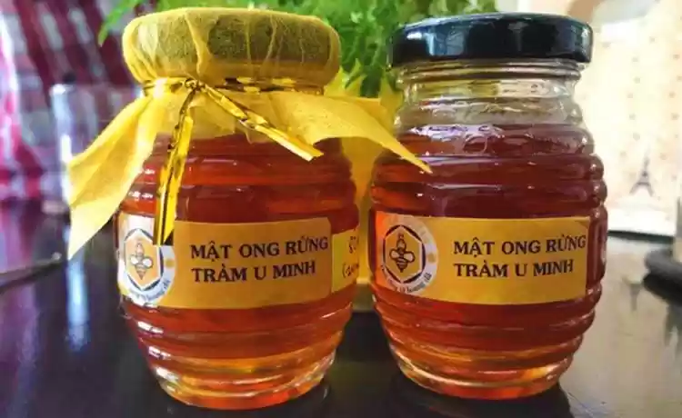 Đặc sản Cà Mau: Mật Ong Rừng U Minh Cà Mau®Hitour