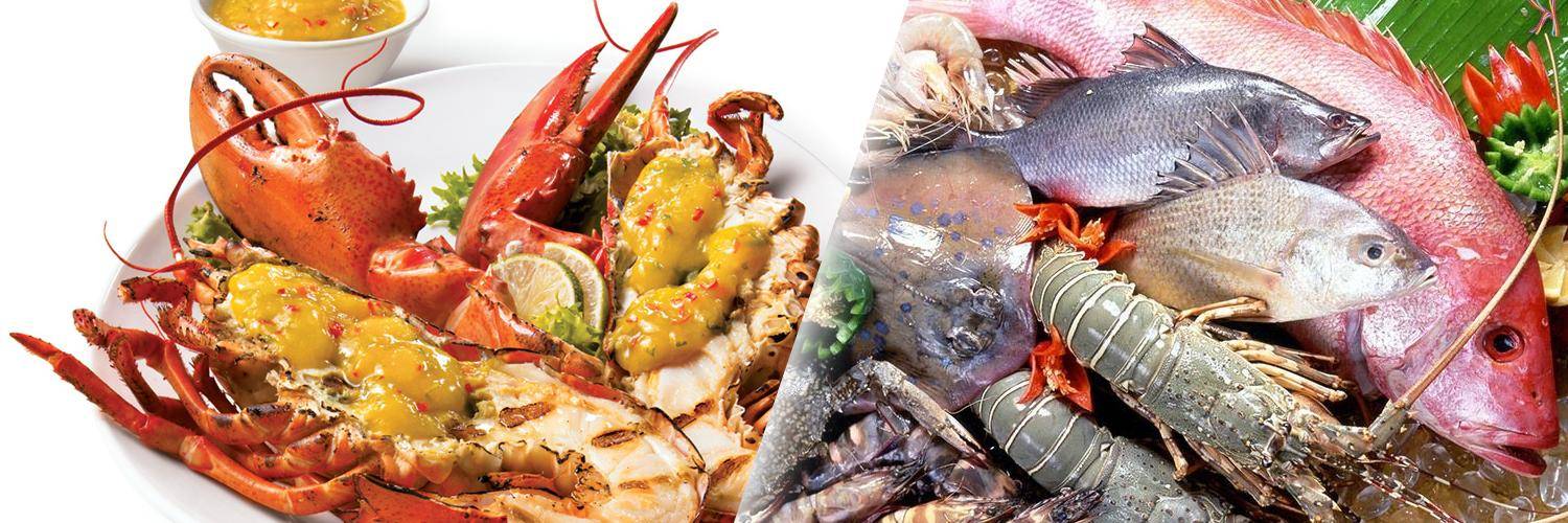 Hải Sản Biển Đông - Nhà hàng hải sản - Địa chỉ, Menu & Giảm giá