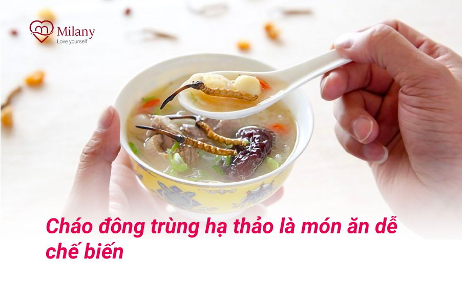 Cách dùng đông trùng hạ thảo đúng cách và hiệu quả - Vietngon.vn (1)