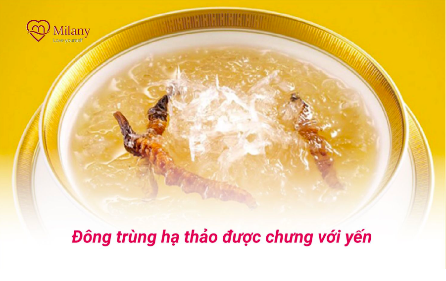 Cách dùng đông trùng hạ thảo đúng cách và hiệu quả - Vietngon.vn (2)